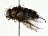  ( - BIOUG80167-D02)  @11 [ ] CreativeCommons - Attribution (2022) CBG Photography Group Centre for Biodiversity Genomics