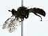  ( - BIOUG80167-D12)  @11 [ ] CreativeCommons - Attribution (2022) CBG Photography Group Centre for Biodiversity Genomics