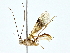  ( - BIOUG80167-F09)  @11 [ ] CreativeCommons - Attribution (2022) CBG Photography Group Centre for Biodiversity Genomics