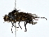  ( - BIOUG80167-G05)  @11 [ ] CreativeCommons - Attribution (2022) CBG Photography Group Centre for Biodiversity Genomics