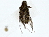  ( - BIOUG80171-F04)  @11 [ ] CreativeCommons - Attribution (2022) CBG Photography Group Centre for Biodiversity Genomics