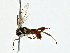  ( - BIOUG80174-E02)  @11 [ ] CreativeCommons - Attribution (2022) CBG Photography Group Centre for Biodiversity Genomics