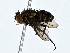  ( - BIOUG80174-F11)  @11 [ ] CreativeCommons - Attribution (2022) CBG Photography Group Centre for Biodiversity Genomics