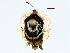 ( - BIOUG64408-A04)  @11 [ ] CreativeCommons - Attribution (2022) CBG Photography Group Centre for Biodiversity Genomics