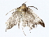  ( - BIOUG64408-C01)  @11 [ ] CreativeCommons - Attribution (2022) CBG Photography Group Centre for Biodiversity Genomics