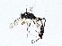  ( - BIOUG64408-D11)  @11 [ ] CreativeCommons - Attribution (2022) CBG Photography Group Centre for Biodiversity Genomics