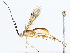  ( - BIOUG64408-F05)  @11 [ ] CreativeCommons - Attribution (2022) CBG Photography Group Centre for Biodiversity Genomics