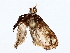  ( - BIOUG64409-E06)  @11 [ ] CreativeCommons - Attribution (2022) CBG Photography Group Centre for Biodiversity Genomics