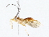  ( - BIOUG64409-G05)  @11 [ ] CreativeCommons - Attribution (2022) CBG Photography Group Centre for Biodiversity Genomics