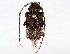  ( - BIOUG64410-E07)  @11 [ ] CreativeCommons - Attribution (2022) CBG Photography Group Centre for Biodiversity Genomics