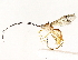  ( - BIOUG64410-H04)  @13 [ ] CreativeCommons - Attribution (2022) CBG Photography Group Centre for Biodiversity Genomics