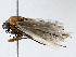  ( - BIOUG64411-A11)  @11 [ ] CreativeCommons - Attribution (2022) CBG Photography Group Centre for Biodiversity Genomics