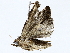  ( - BIOUG76507-G11)  @11 [ ] CreativeCommons - Attribution (2022) CBG Photography Group Centre for Biodiversity Genomics