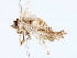  ( - BIOUG76508-B04)  @11 [ ] CreativeCommons - Attribution (2022) CBG Photography Group Centre for Biodiversity Genomics