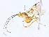  ( - BIOUG76508-F06)  @11 [ ] CreativeCommons - Attribution (2022) CBG Photography Group Centre for Biodiversity Genomics