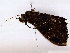  ( - BIOUG76508-G02)  @11 [ ] CreativeCommons - Attribution (2022) CBG Photography Group Centre for Biodiversity Genomics