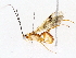  ( - BIOUG76509-B05)  @11 [ ] CreativeCommons - Attribution (2022) CBG Photography Group Centre for Biodiversity Genomics