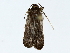  ( - BIOUG80164-F12)  @11 [ ] CreativeCommons - Attribution (2022) CBG Photography Group Centre for Biodiversity Genomics
