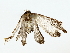  ( - BIOUG85254-H07)  @11 [ ] CreativeCommons - Attribution (2022) CBG Photography Group Centre for Biodiversity Genomics