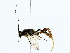  ( - BIOUG85259-F05)  @11 [ ] CreativeCommons - Attribution (2022) CBG Photography Group Centre for Biodiversity Genomics