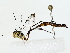  ( - BIOUG85259-G02)  @13 [ ] CreativeCommons - Attribution (2022) CBG Photography Group Centre for Biodiversity Genomics