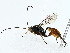  ( - BIOUG85259-G05)  @11 [ ] CreativeCommons - Attribution (2022) CBG Photography Group Centre for Biodiversity Genomics