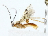  ( - BIOUG85259-G08)  @11 [ ] CreativeCommons - Attribution (2022) CBG Photography Group Centre for Biodiversity Genomics