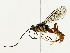  ( - BIOUG85260-E01)  @11 [ ] CreativeCommons - Attribution (2022) CBG Photography Group Centre for Biodiversity Genomics