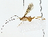  ( - BIOUG85260-F03)  @11 [ ] CreativeCommons - Attribution (2022) CBG Photography Group Centre for Biodiversity Genomics