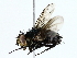 ( - BIOUG85261-C05)  @11 [ ] CreativeCommons - Attribution (2022) CBG Photography Group Centre for Biodiversity Genomics