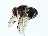 ( - BIOUG85261-C09)  @11 [ ] CreativeCommons - Attribution (2022) CBG Photography Group Centre for Biodiversity Genomics