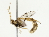  ( - BIOUG85466-H02)  @11 [ ] CreativeCommons - Attribution (2022) CBG Photography Group Centre for Biodiversity Genomics