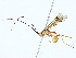  ( - BIOUG85467-B10)  @13 [ ] CreativeCommons - Attribution (2022) CBG Photography Group Centre for Biodiversity Genomics