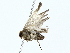  ( - BIOUG85499-D09)  @11 [ ] CreativeCommons - Attribution (2022) CBG Photography Group Centre for Biodiversity Genomics