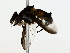  ( - BIOUG85499-H03)  @11 [ ] CreativeCommons - Attribution (2022) CBG Photography Group Centre for Biodiversity Genomics