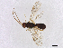  ( - BIOUG88385-H05)  @11 [ ] CreativeCommons - Attribution Share - Alike (2024) CBG Photography Group Centre for Biodiversity Genomics