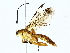  ( - BIOUG89925-E07)  @11 [ ] CreativeCommons - Attribution (2022) CBG Photography Group Centre for Biodiversity Genomics