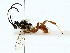  ( - BIOUG89925-F07)  @11 [ ] CreativeCommons - Attribution (2022) CBG Photography Group Centre for Biodiversity Genomics