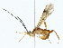  ( - BIOUG85467-E06)  @11 [ ] CreativeCommons - Attribution (2022) CBG Photography Group Centre for Biodiversity Genomics