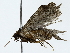  ( - BIOUG85467-G12)  @11 [ ] CreativeCommons - Attribution (2022) CBG Photography Group Centre for Biodiversity Genomics