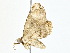  ( - BIOUG62731-E01)  @11 [ ] CreativeCommons - Attribution (2022) CBG Photography Group Centre for Biodiversity Genomics