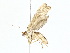  ( - BIOUG62731-E03)  @11 [ ] CreativeCommons - Attribution (2022) CBG Photography Group Centre for Biodiversity Genomics