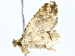  ( - BIOUG62732-B08)  @11 [ ] CreativeCommons - Attribution (2022) CBG Photography Group Centre for Biodiversity Genomics