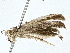  ( - BIOUG76538-D09)  @11 [ ] CreativeCommons - Attribution (2022) CBG Photography Group Centre for Biodiversity Genomics