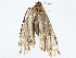  ( - BIOUG76540-F10)  @11 [ ] CreativeCommons - Attribution (2022) CBG Photography Group Centre for Biodiversity Genomics