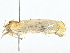  ( - BIOUG80703-E03)  @11 [ ] CreativeCommons - Attribution (2022) CBG Photography Group Centre for Biodiversity Genomics