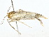  ( - BIOUG80703-E05)  @11 [ ] CreativeCommons - Attribution (2022) CBG Photography Group Centre for Biodiversity Genomics