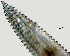  ( - NID-N1008)  @11 [ ] CreativeCommons - Attribution Non-Commercial (2017) Tom Powers University of Nebraska