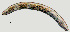  ( - NID-N1028)  @11 [ ] CreativeCommons - Attribution Non-Commercial (2017) Tom Powers University of Nebraska