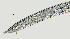  ( - NID-N1033)  @11 [ ] CreativeCommons - Attribution Non-Commercial (2017) Tom Powers University of Nebraska